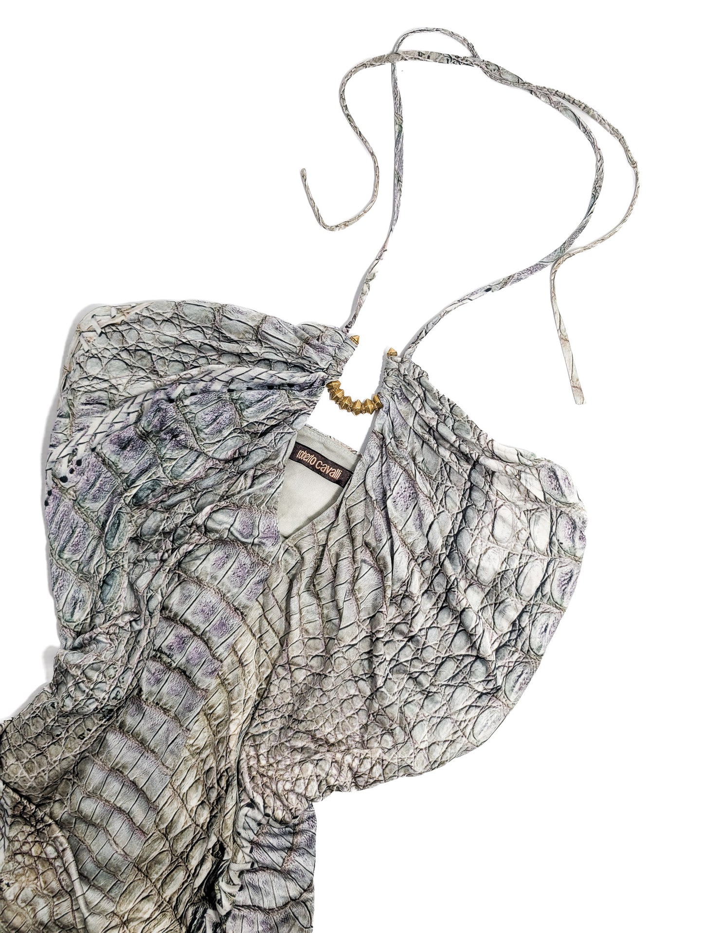 Roberto Cavalli S/S 2011 dress