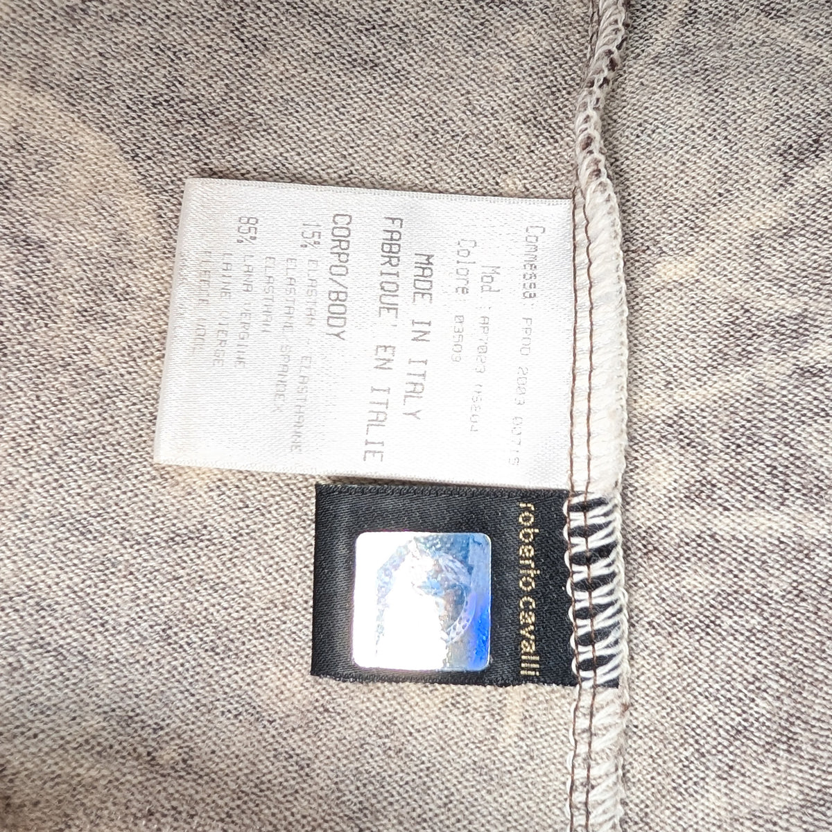 Pull imprimé Constellation du zodiaque Roberto Cavalli - AW2003
