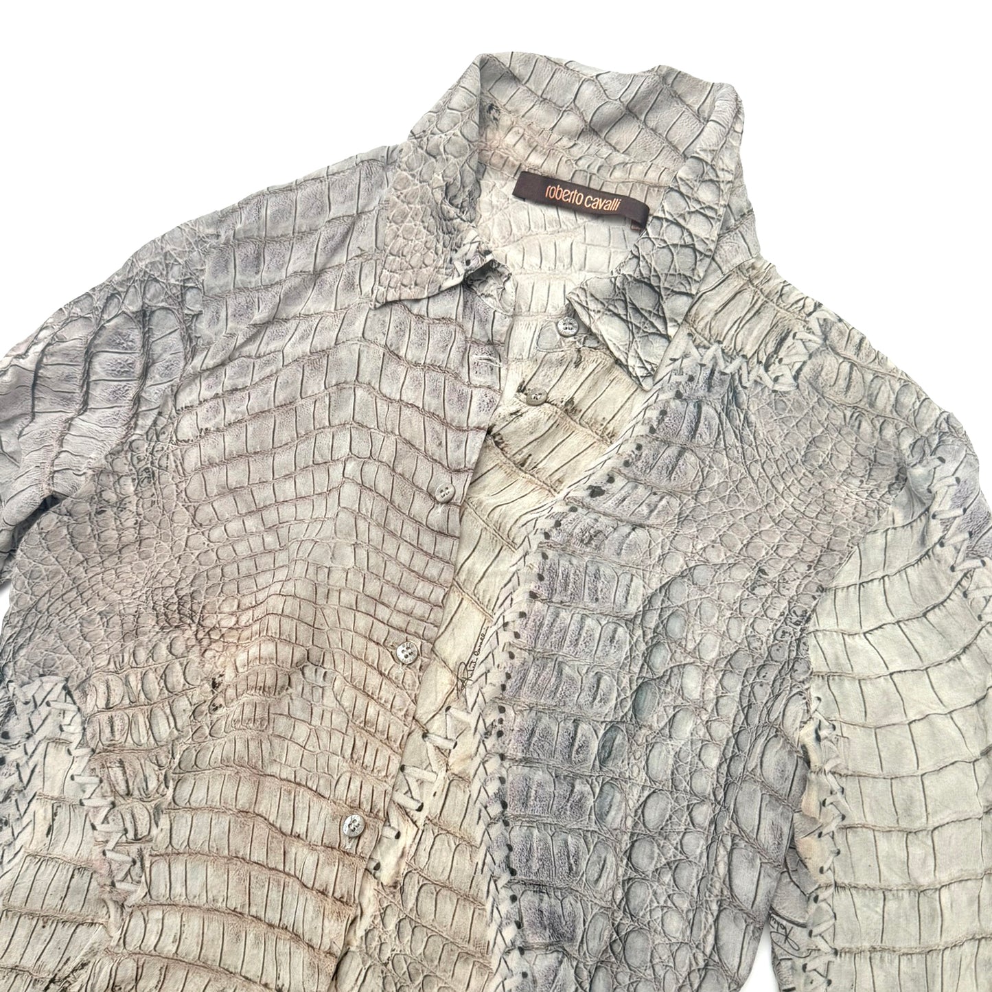 Chemisier Roberto Cavalli S/S 2011 - S