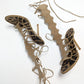 Sandales hautes Roberto Cavalli- EU38|UK5|US6