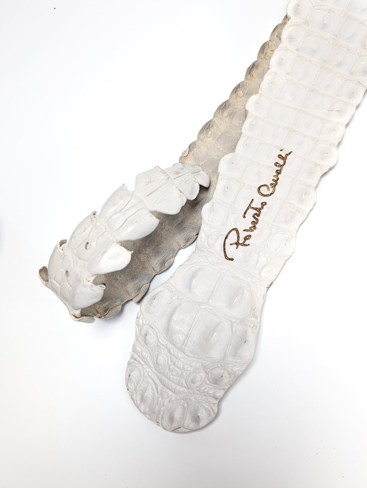 Ceinture Roberto Cavalli en python