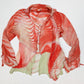Jupe Roberto Cavalli