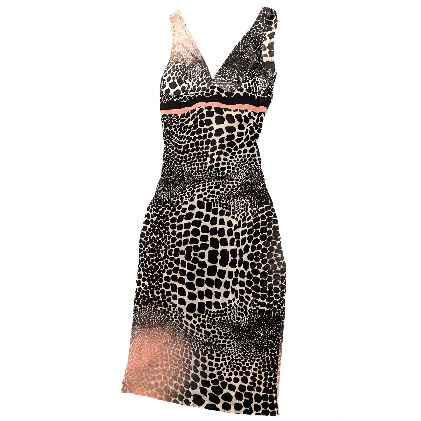 Roberto Cavalli S/S 2004 Dress