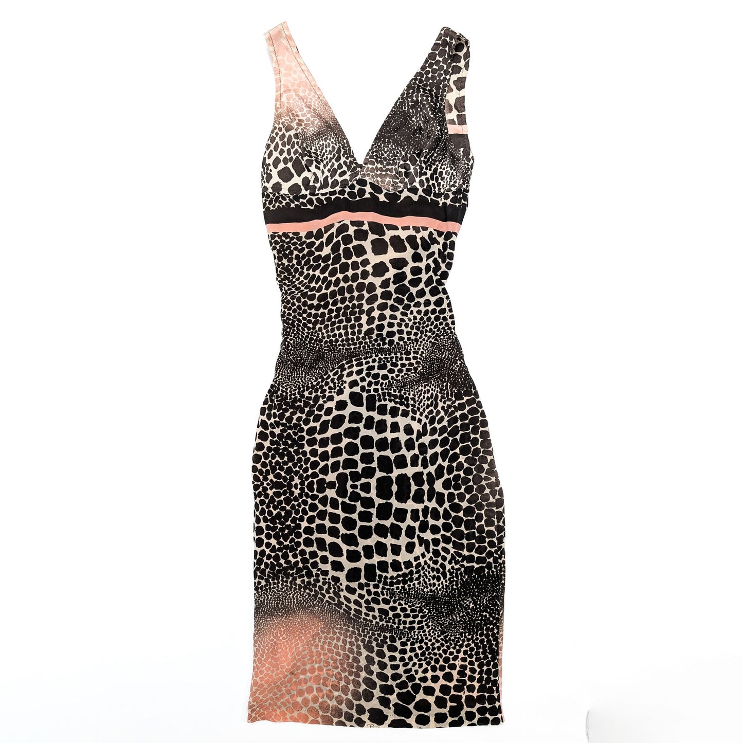 Roberto Cavalli S/S 2004 Dress