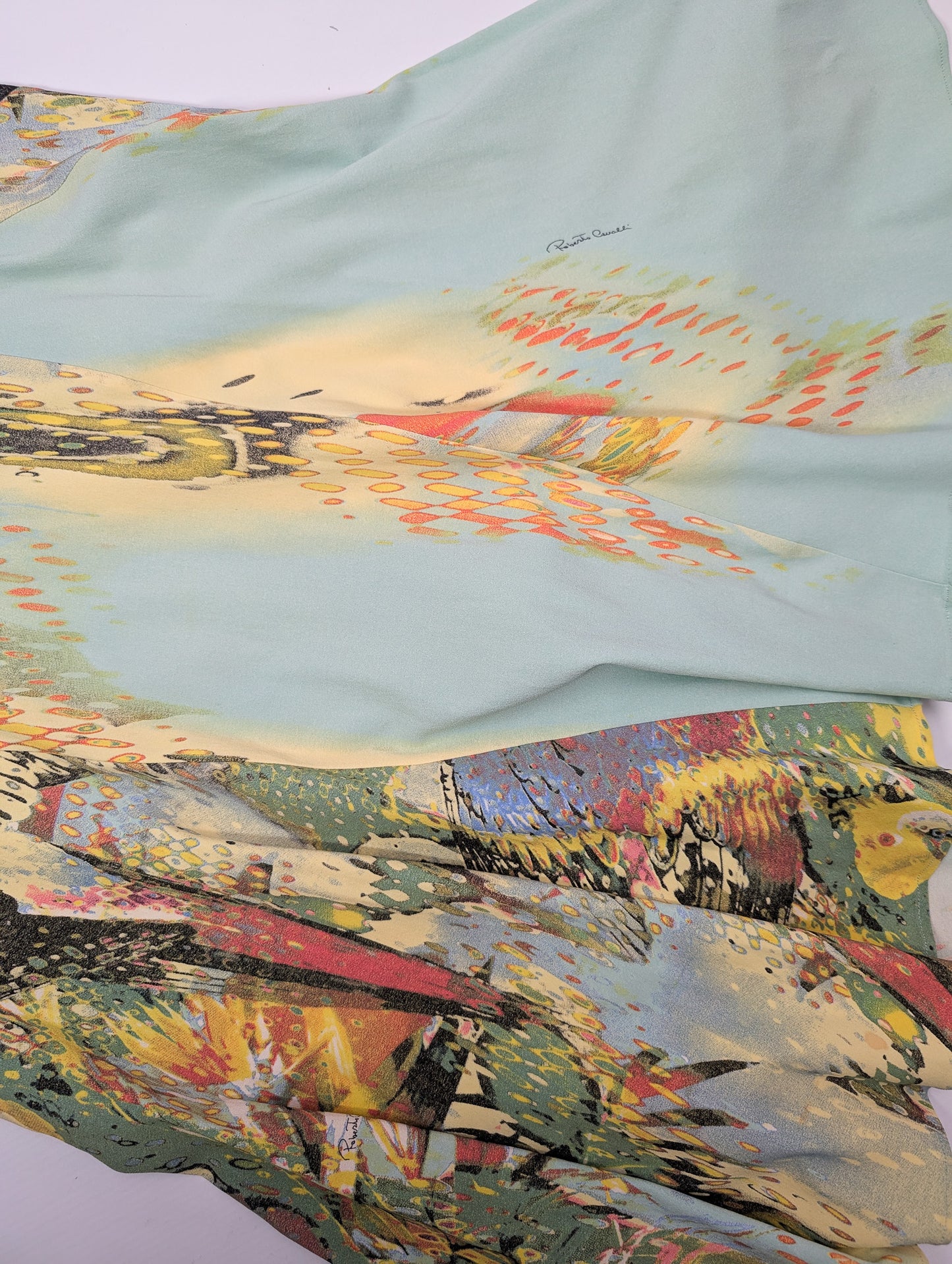 Robe Roberto Cavalli