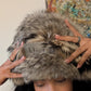 Chapeau fourrure Dior par Galliano - F/W 2002
