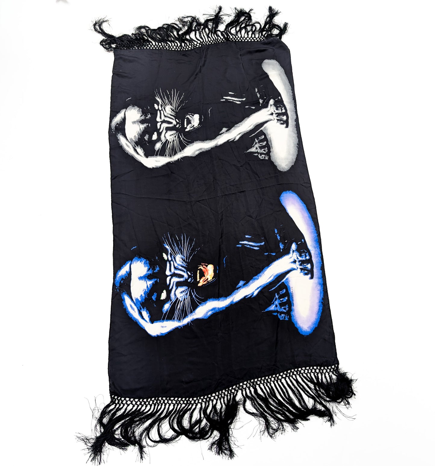 Foulad / Pareo Roberto Cavalli